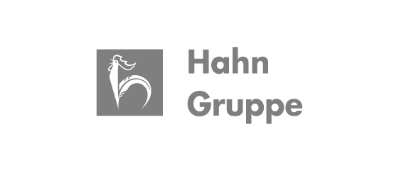 Hahn Gruppe